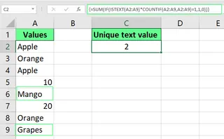 在Excel中统计唯一文本值 3