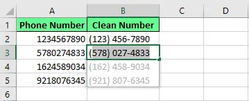 Formatieren der Telefonnummern mit Flash Fill in Excel. 9