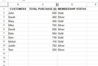 包含客户详细信息的表格 14