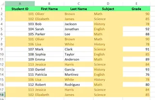 高亮显示重复项的数据 3