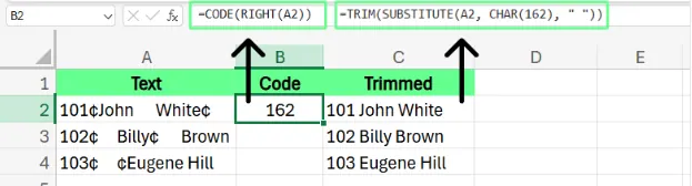 Entfernen von Sonderzeichen mit den CODE-, SUBSTITUTE- und TRIM-Funktionen in Excel. 9
