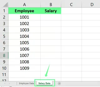 Excel中的工作表2，名为Salary Data 2