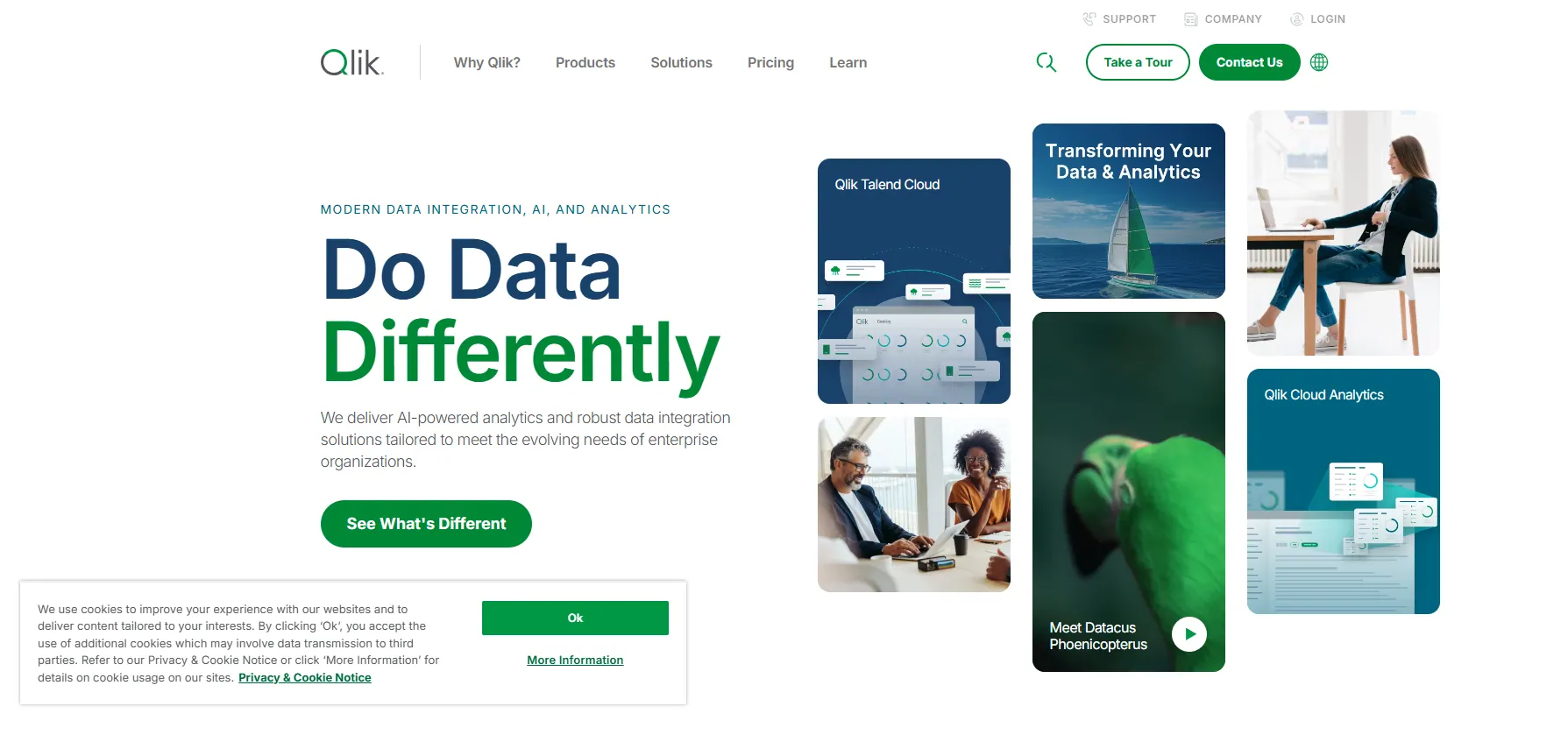 qlik