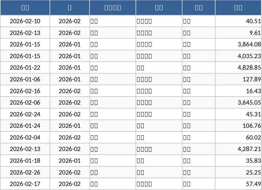 Budget-Tracker Vorlage