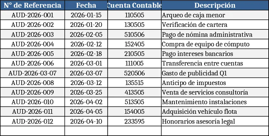 Audit-Formular Excel Vorlage
