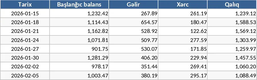 Bargeld-Transaktions-Tracker Vorlage
