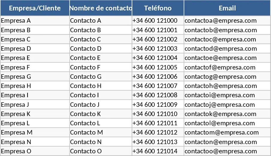 Sales Lead & CRM Vorlage