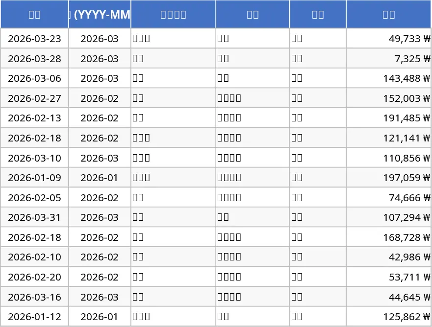 Monatsbudget und Ausgaben-Tracker mit Budgetplan Vorlage
