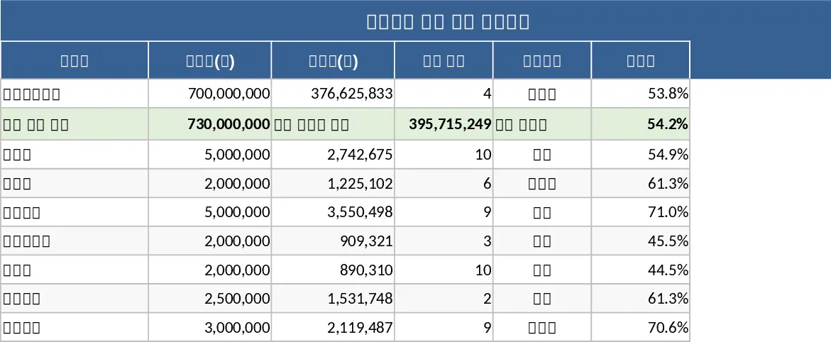 Multi-Project Budget Execution and Progress Tracking Dashboard Template